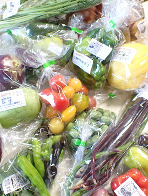 スケさんの【定期購入】 シードマイスターが作る無農薬季節の変わり野菜セット 口コミ・レビュー1