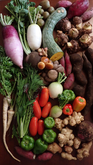 スケさんの【定期購入】 シードマイスターが作る無農薬季節の変わり野菜セット 口コミ・レビュー1