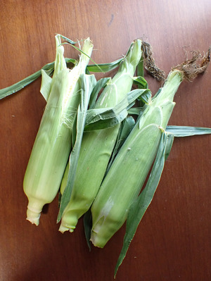 スケさんの《2025終了》無農薬 朝採りトウモロコシ口コミ・レビュー2