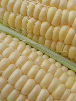 スケさんの《2025終了》無農薬 朝採りトウモロコシ口コミ・レビュー1