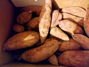 旅するはらっぱさんの自然栽培/自然乾燥〈べにはるか〉大分県産さつまいも口コミ・レビュー1