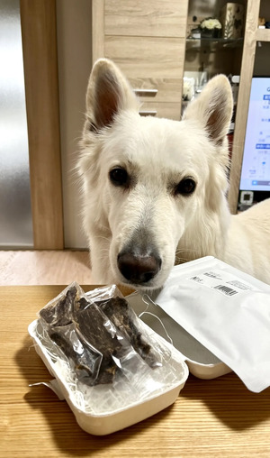 M.NさんのPET用ヒューマングレードペットフード HORSE JERKY ［馬肉ジャーキー］口コミ・レビュー1