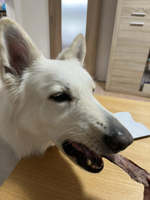 M.NさんのPET用ヒューマングレードペットフード HORSE JERKY ［馬肉ジャーキー］口コミ・レビュー2