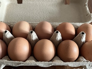 Takakoさんの北海道産優秀賞受賞【おのたまの大寒卵】6個10個口コミ・レビュー1