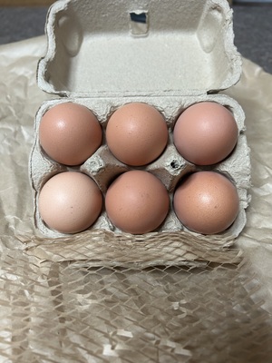 zinさんの北海道産優秀賞受賞【おのたまの大寒卵】6個10個口コミ・レビュー2