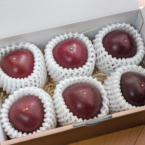 三宅島産・農薬不使用＜自然栽培パッションフルーツ＞ギフトにも最適の香り豊かなパッションジュエルのレビュー
