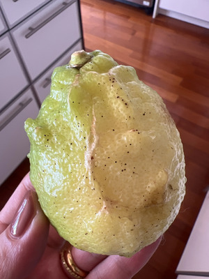 Rさんの＜レモン＞高知の自然が育んだ農薬不使用・手作業で安心の香り豊かな果実口コミ・レビュー1