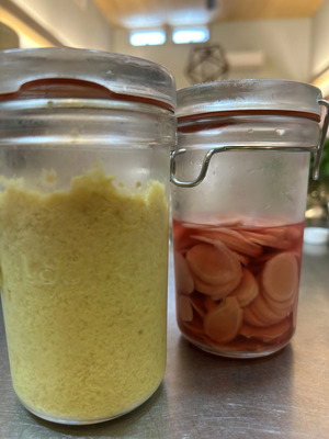 Cocoママさんの自然農  生姜口コミ・レビュー1