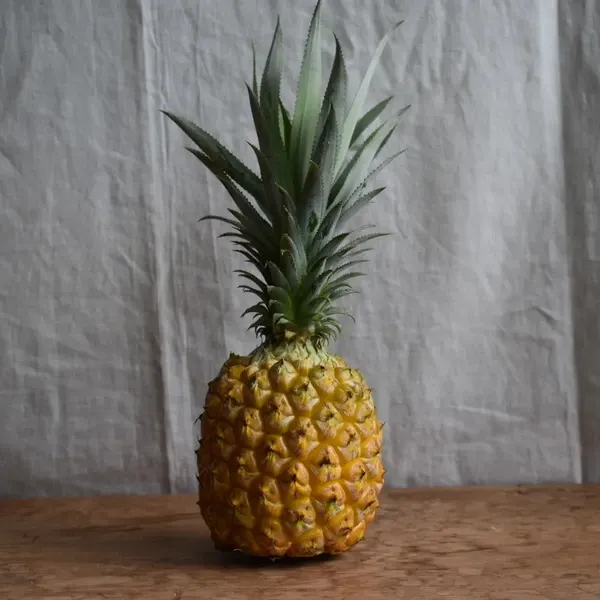 手でちぎれて芯まで甘い＜ボゴールパイン（スナックパイン）＞沖縄で