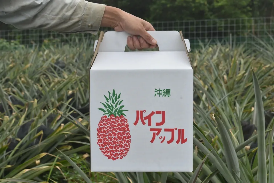 ホワイトココとサンドルチェ 数量限定<食べ比べセット>沖縄で有機JAS認証の完熟果実