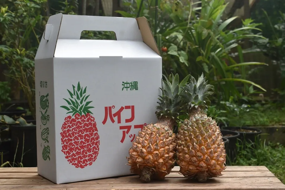 ホワイトココとサンドルチェ 数量限定<食べ比べセット>沖縄で有機JAS認証の完熟果実