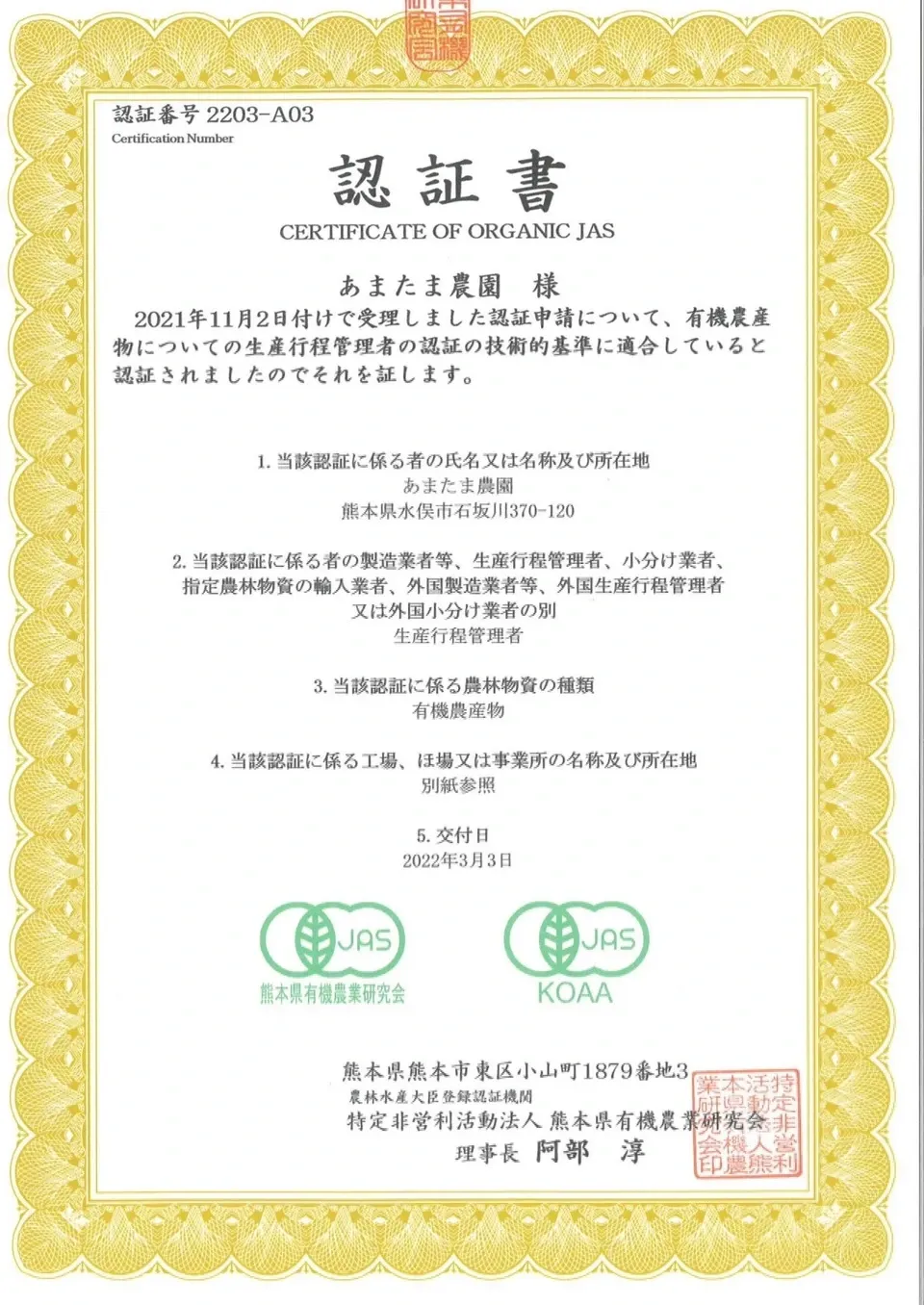 【2026年新茶】あまたま緑茶(ヤブキタ) |無農薬・無肥料栽培