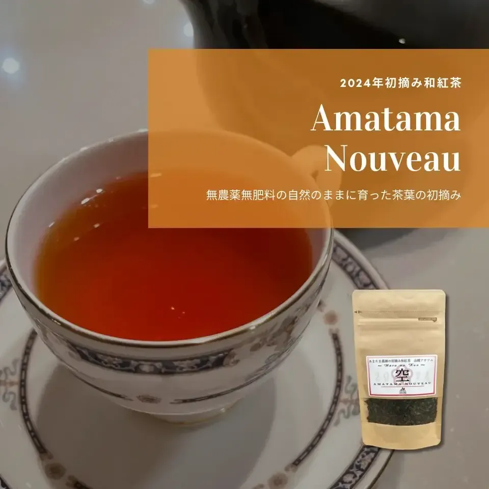 2025年新茶】和紅茶 アマタマ・ヌーボー~Haru no Kuu~空｜無農薬・無