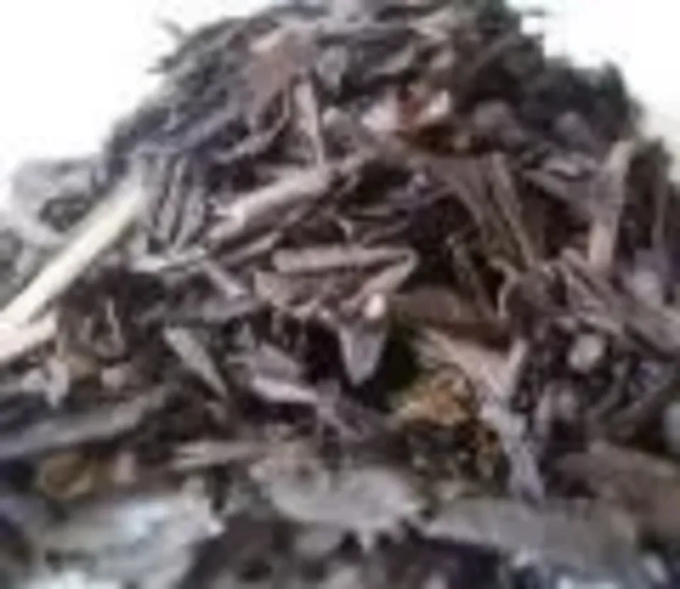 無農薬・無肥料栽培　焙煎ほうじ茶　焙　＜旧あまたまほうじ茶＞ノンカフェイン