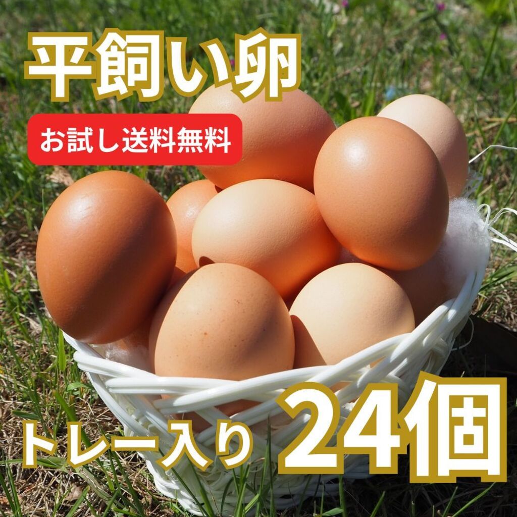 お試し品・とれたて平飼い有精卵｜3日以内に発送可】完全自家配合