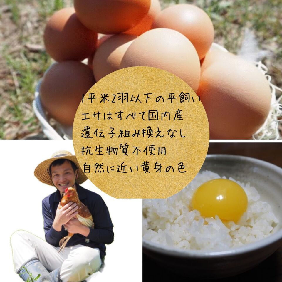 お試し送料無料・とれたて平飼い有精卵】完全自家配合！ 全て国産