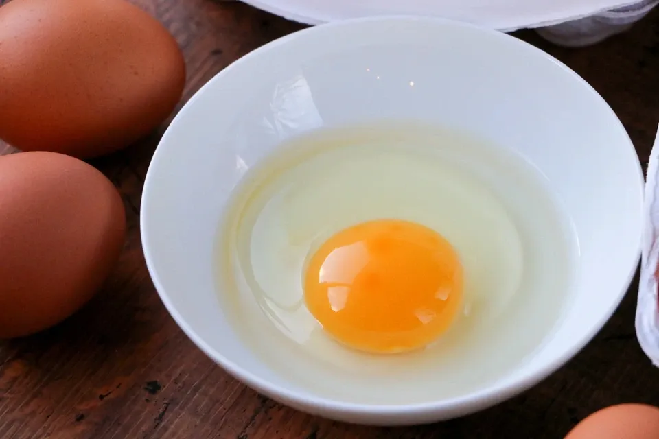 とれたて純国産平飼い自然卵（有精卵） - たべるとくらすと