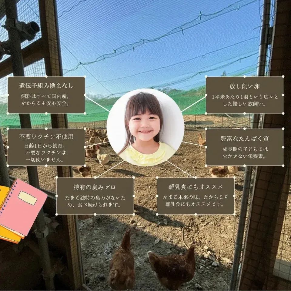 【とれたて純国産平飼い自然卵(有精卵) |7日以内に発送可】完全自家配合!全て国産・添加物/保存料不使用|大自然の恵みをそのまま提供