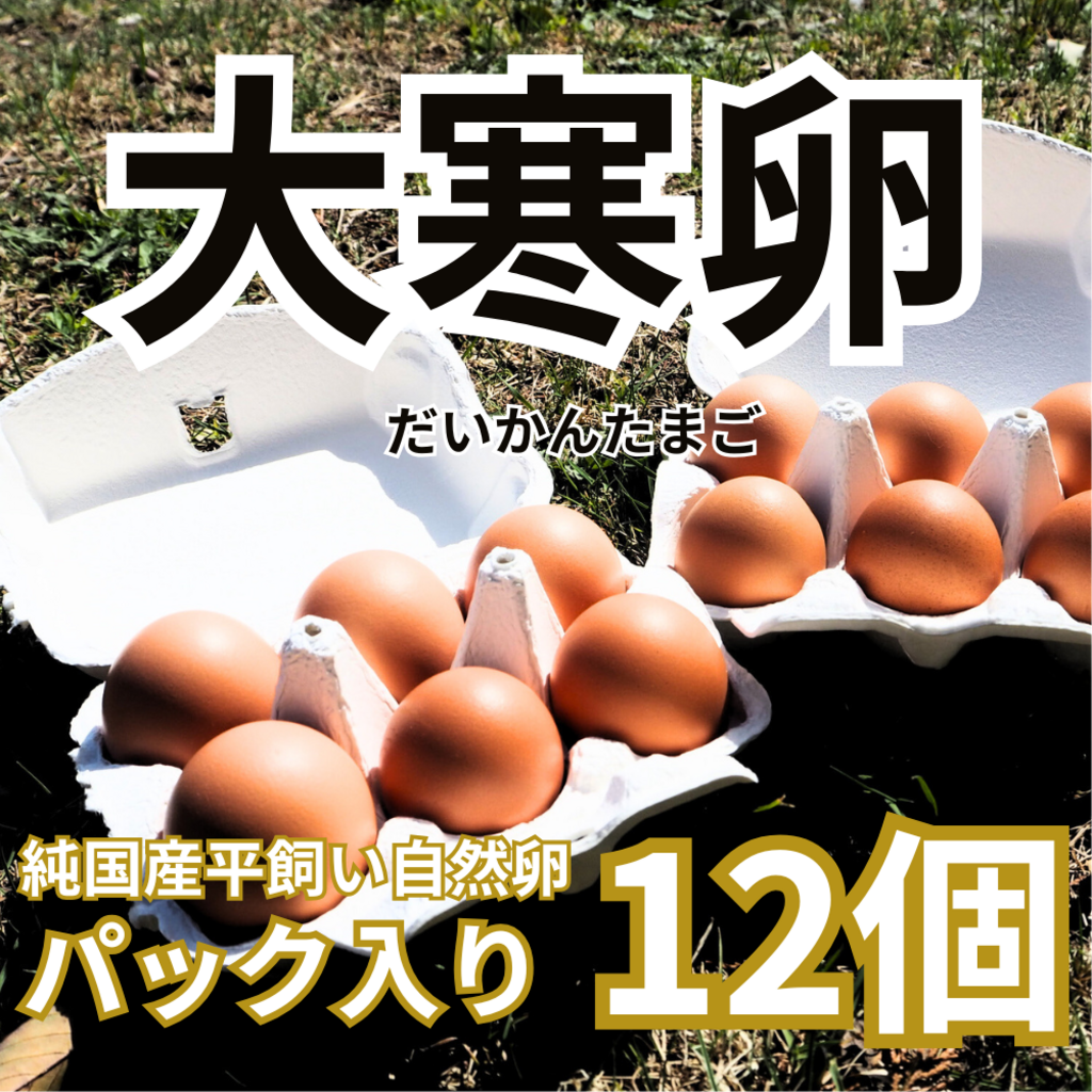 2026年大寒卵】平飼い自然卵（有精卵）｜完全自家配合！ 全て国産