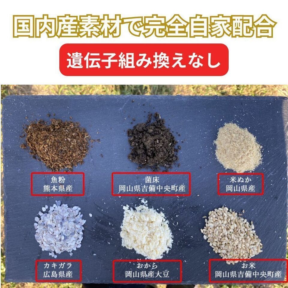 【初卵予約販売!】平飼い自然卵(有精卵)|完全自家配合! 全て国産・添加物不使用