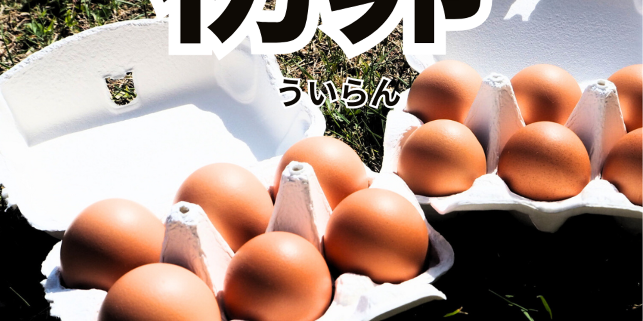初卵予約販売！】平飼い自然卵（有精卵）｜完全自家配合！ 全て国産