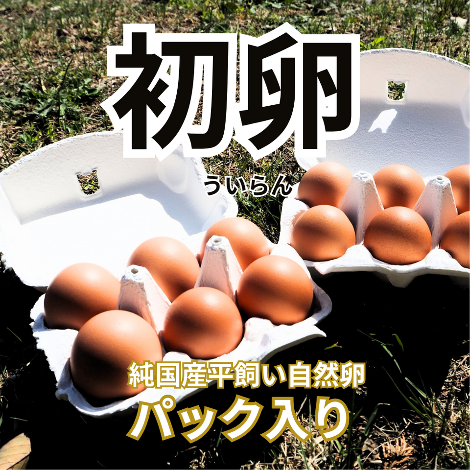 平飼い卵70個２/21常温発送 平飼い卵70個9/25常温発送