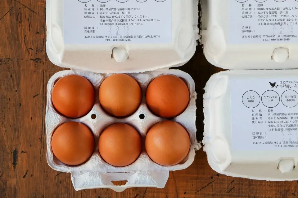 とれたて純国産平飼い自然卵（有精卵） - たべるとくらすと