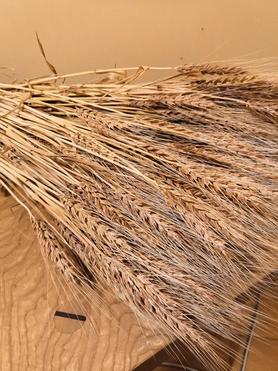 石臼　石臼挽き　ヴィンテージ　アンティーク　小麦粉　米粉　きな粉 Amazon｜Sariny 石臼 いしうす ひき臼 回転式石臼 製粉器 粉 ミル 小麦