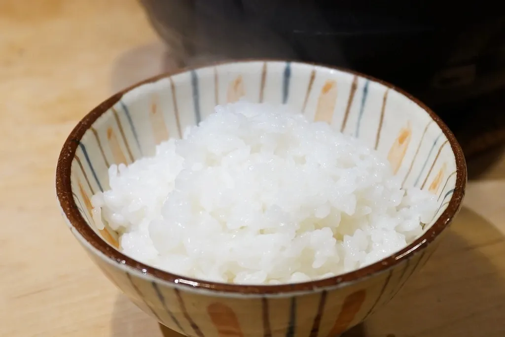 令和6年度産/さとじまん【玄米/白米】農薬・化学肥料不使用