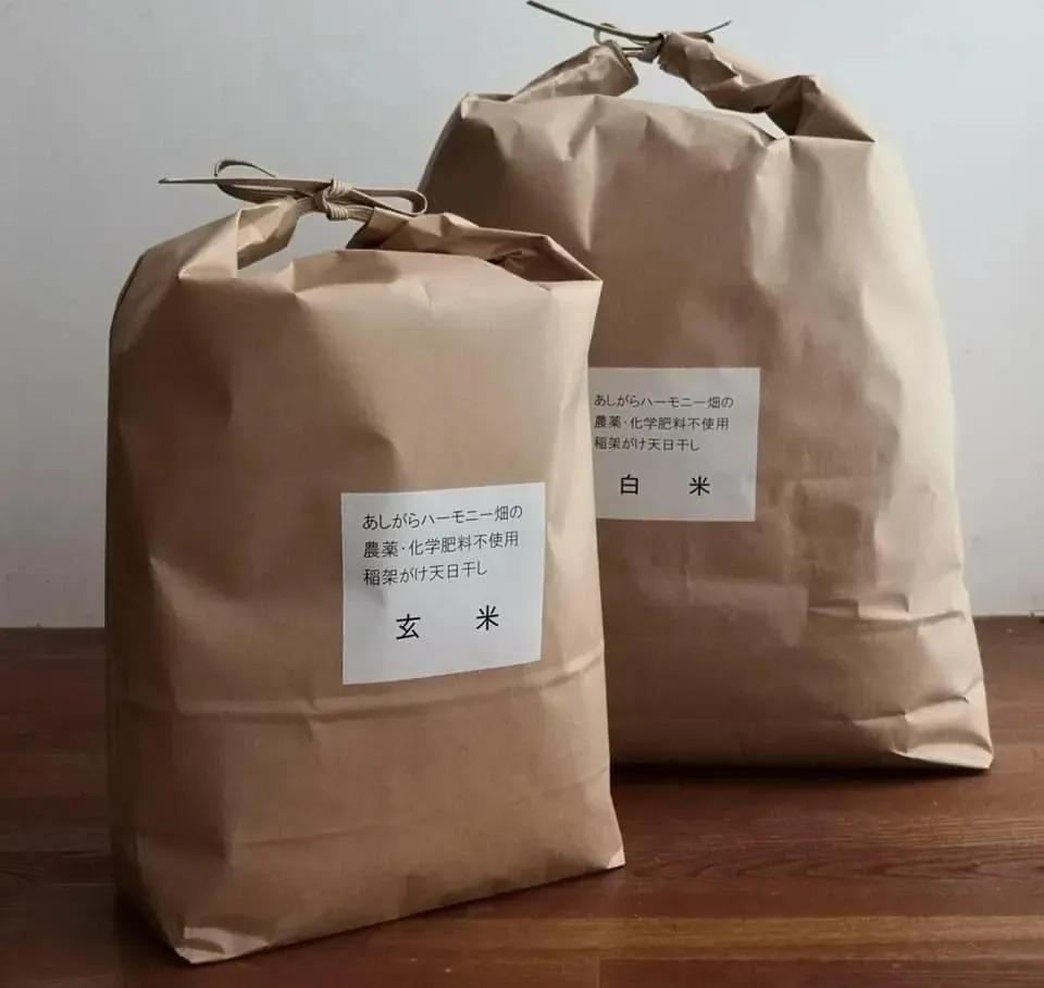 ◆稲架掛け天日干し【令和7年度産】さとじまん【玄米/白米】農薬・化学肥料不使用
