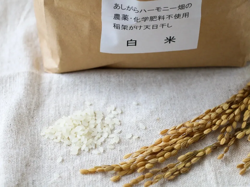 ◇稲架掛け天日干し【新米】さとじまん【玄米/白米】令和7年度産 農薬