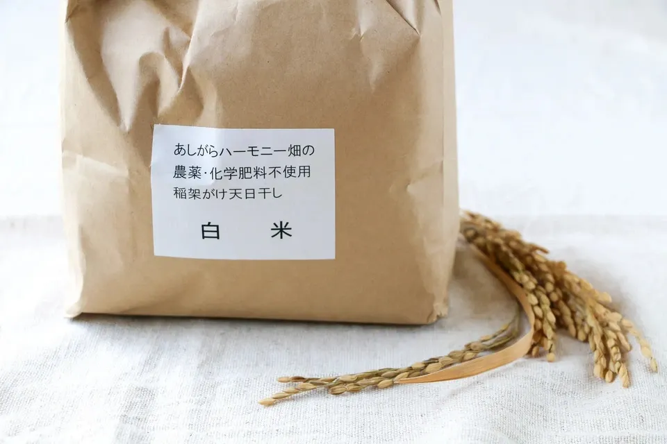 ◆稲架掛け天日干し【令和7年度産】さとじまん【玄米/白米】農薬・化学肥料不使用