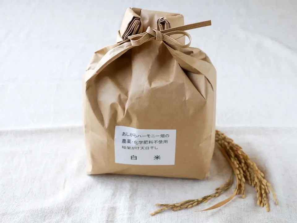 ◆稲架掛け天日干し【令和7年度産】さとじまん【玄米/白米】農薬・化学肥料不使用