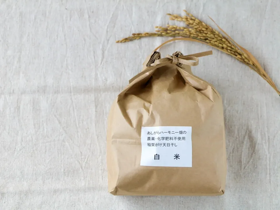 ◇稲架掛け天日干し【令和7年度産】さとじまん【玄米/白米】農薬・化学