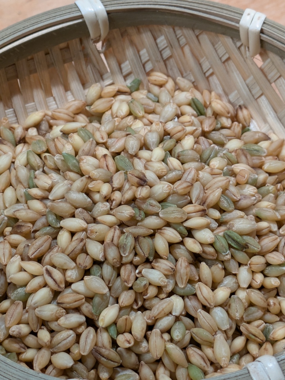 もち麦＜キラリモチ＞農薬・化学肥料不使用・小田原産 あしがら