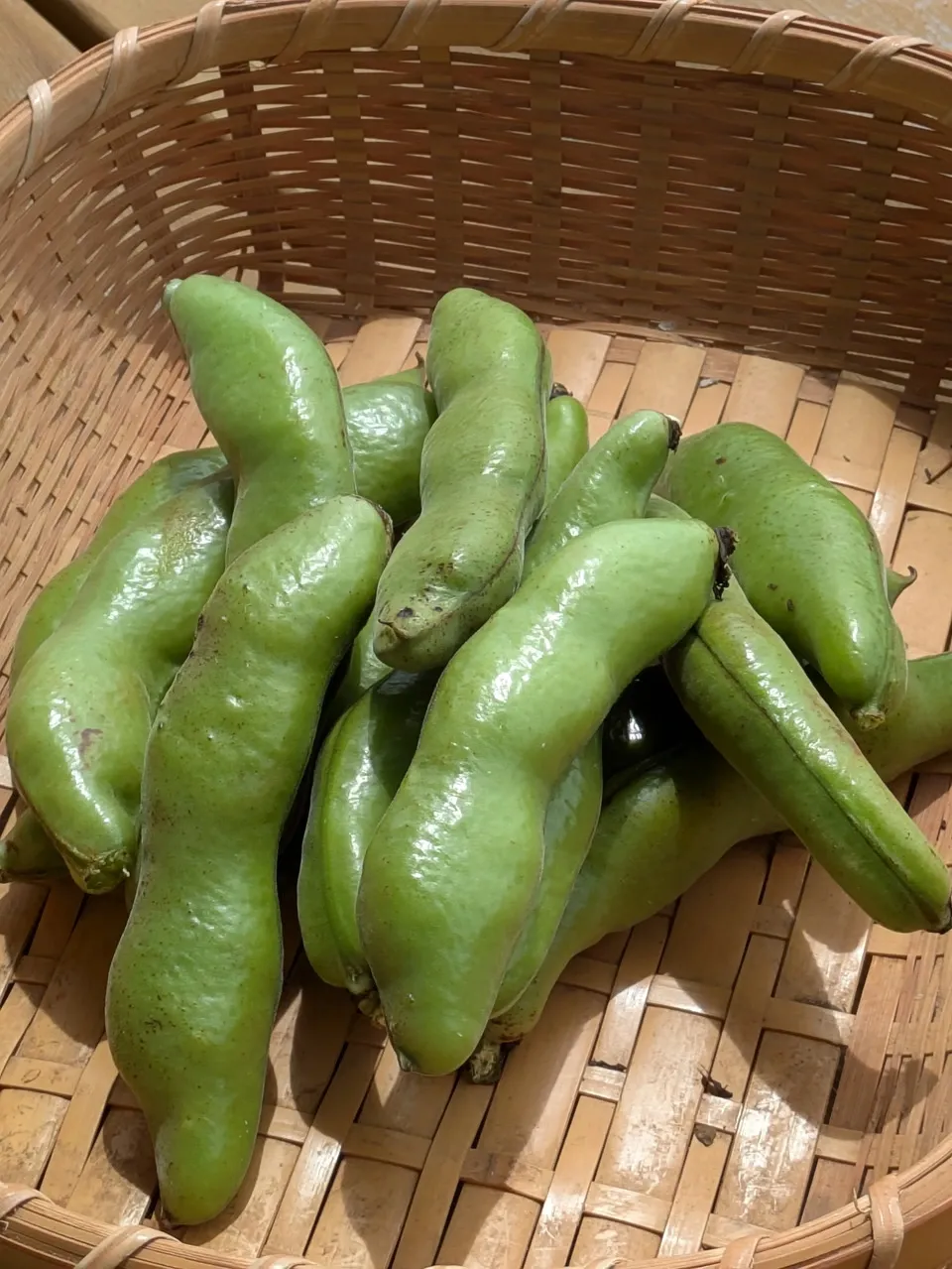 そらまめ 季節限定】そらまめ（農薬・化学肥料不使用） あしがらハーモニー畑
