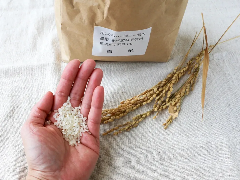 30 kg 玄米　令和6年産　農薬不使用　肥料不使用　自然栽培米 楽天市場】令和6年産新米 予約 10月上旬発送 無農薬 玄米30kg 無