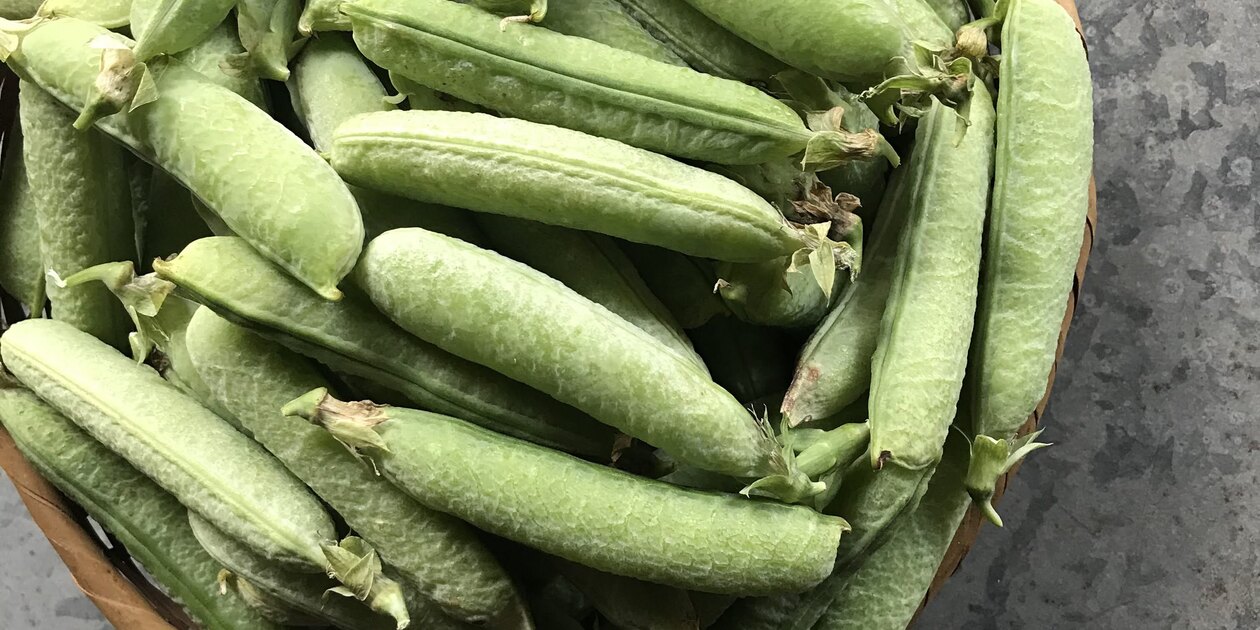 自然農 グリーンピース BIG FAMILY FARM (佐賀県産) 豆類通販 - たべる