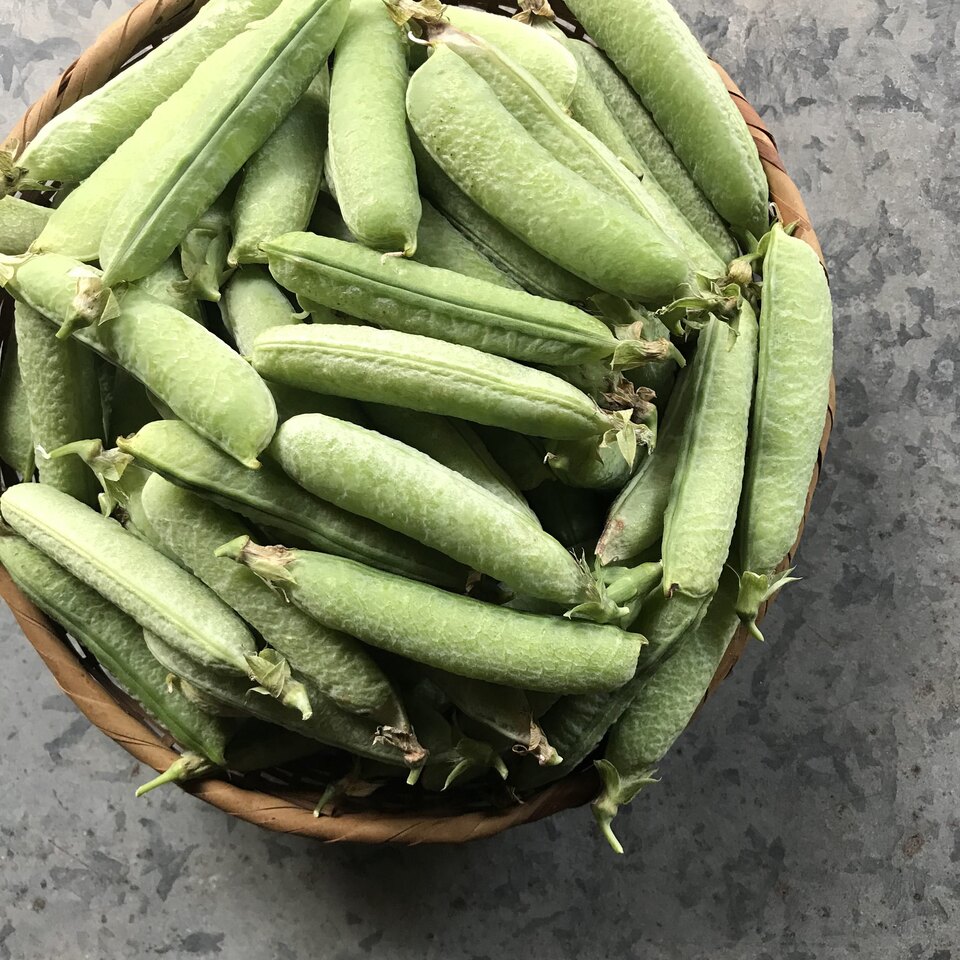自然農 グリーンピース BIG FAMILY FARM (佐賀県産) 豆類通販 - たべる