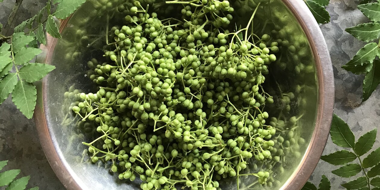山形県産 山椒の実 無農薬　1000g 最新作売れ筋が満載 山形県産 山椒の実 無農薬 1000gの通販 by