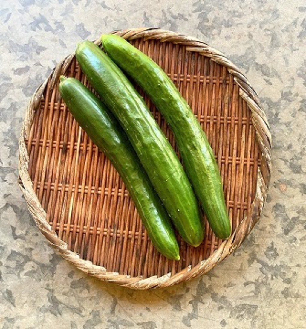 無農薬・無化学肥料で育てた＜きゅうり＞自然栽培だからこそ感じられる