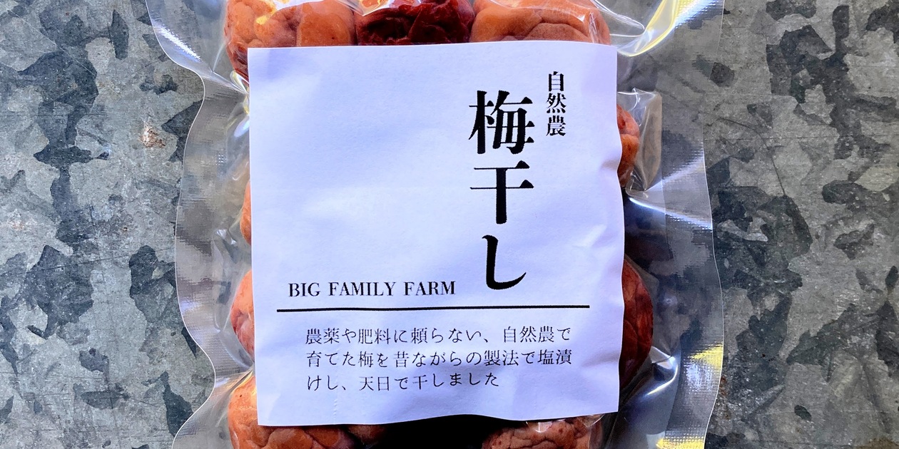 梅干し用　梅　自然栽培　自然農法 自然農法産梅（梅干用） 2kg 【神奈川県川崎市横山農園／予約