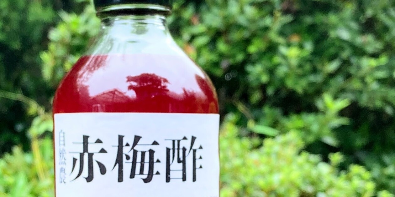 _1260x630_250810115540.JPG