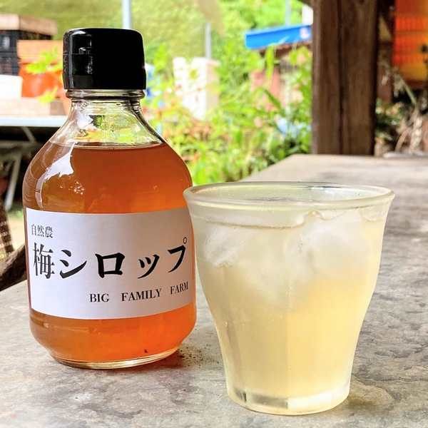 無農薬・無化学肥料【梅シロップ】水割り・ソーダ割り・かき氷など BIG