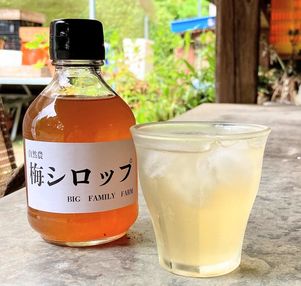 無農薬・無化学肥料【梅シロップ】水割り・ソーダ割り・かき氷など BIG
