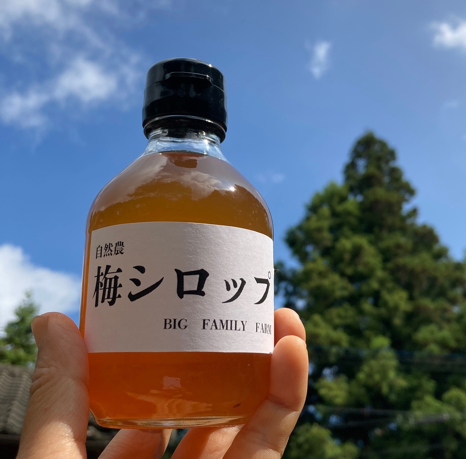 無農薬・無化学肥料【梅シロップ】水割り・ソーダ割り・かき氷など