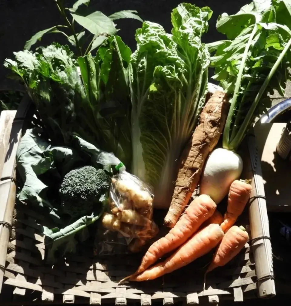 自然農法 無肥料栽培 書籍セット 自然栽培農家のオススメする本を紹介