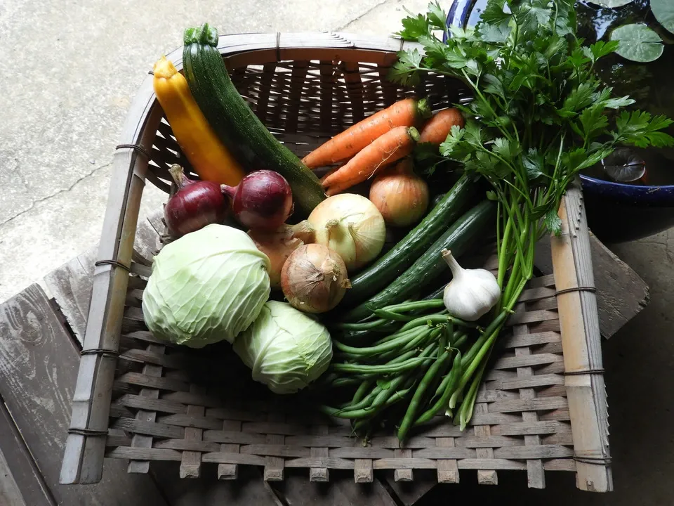 自然栽培<季節の野菜セット>佐賀の自然の恵みたっぷり!農薬・化学肥料不使用