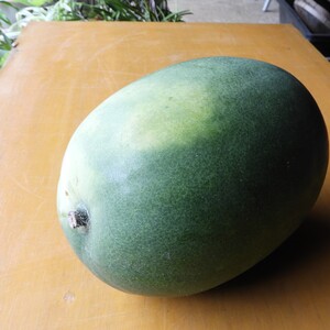 冬瓜・うり類商品一覧 | 無添加・無農薬の食品ネット通販 - たべると