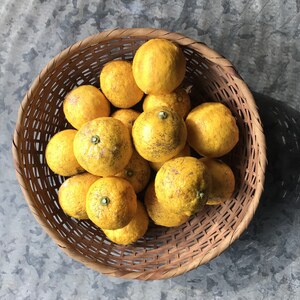 自然農 ゆず BIG FAMILY FARM (佐賀県産) みかん・柑橘・オレンジ通販